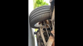 Groudhog comfortably finds new home inside car's wheel