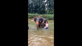 Friendly elephant enjoys their bath with tourists in Thailand after being rescued from painful living conditions