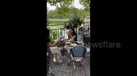 China: Squirrel joins the table for afternoon tea and dessert