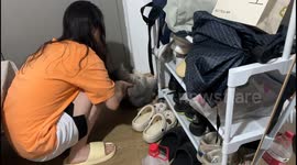 China: Chubby Cat Adorable Workout