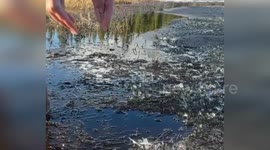 USA: Captivating Video Showcases Alaska's Stunning Spring Thaw