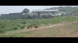 Wildlife personnel chase rampaging hippo in Tuala Area, Kenya