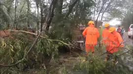 Cyclone Remal Leaves Trail Of Destruction, Flights Yet To Resume . More than one lakh evacuated