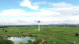 Journey into China's tea culture: Hengzhou Jasmine tea