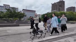 China: Six-legged robot guide dog shows promise for China's visually impaired community