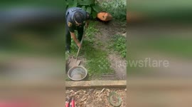 USA: Officer Detains Massive Serpent in Houma Showdown