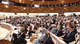 Representatives support WHA's decision to reject Taiwan-related proposal again