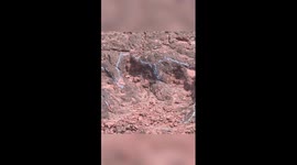 Over 400 Cretaceous dinosaur footprint fossils discovered in SW China