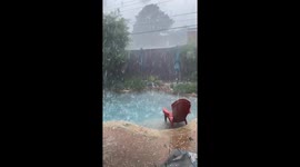 Texas homeowner's pool garden batters by tennis ball-sized hail