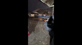 Major Hail Storm in an Orange Grove