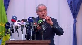 Egypt's strategic wheat reserve sufficient for 5.3 months: minister