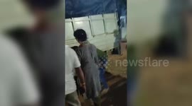 India: Forest officials apprehend illegal turtle smuggling operation