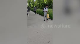 Devoted owner of pet hamster takes rodent for walk in park