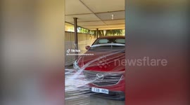 Couple return from honeymoon to find pranksters trashed their house