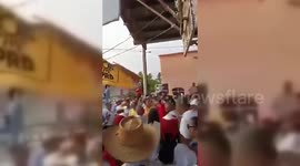 Mexico: Mayoral Candidate Shot Dead in Coyuca de Benitez