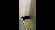 temp