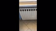 temp