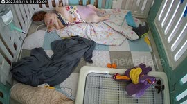 Jumpy French bulldog flees from sound of clanking bowl he flinches