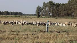 Traumatized Iraqi child struggles to overcome hardships after years of war