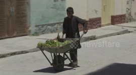 Afghanistan: Afghan boy pursues education through street vending in Kabul