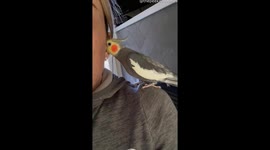 A Little Birdie Told Me