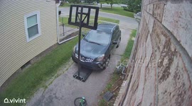 Woman Injures Leg Trying to Control Dog