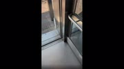 temp