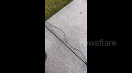 China: The Snail's Journey