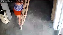 Dog Climbs Ladder to Stay Close to Owner