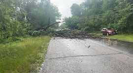 Storm Damage in,Janesville