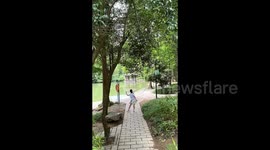 Chinese man captivated by dancing woman plunges into lake while filming