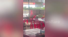 Monitor lizard drags chair across barbecue restaurant