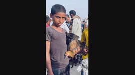 The city of Hays, located in the south of Al Hudaydah Governorate in Yemen