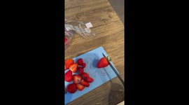 Motion Sensor Recycling Bin Disposes Of Strawberries