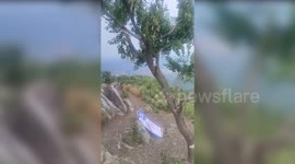 Outrage as famous 60-year-old 'welcoming' tree is vandalised in China