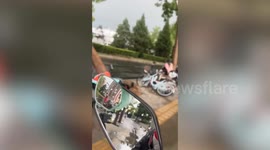 Felled trees crush parked cars and block traffic after storm