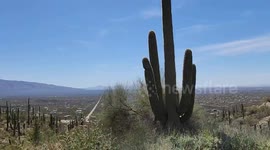 me and my wife take a drive up to Mt. Lemmon in Tucson Arizona