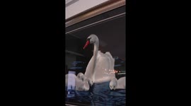 3D handmade embroidery