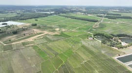 Desertification control brings environmental, economic benefits in NE China's Liaoning