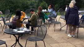 Ravenous ravens! - Jackdaws raid cafe tables in Richmond Park