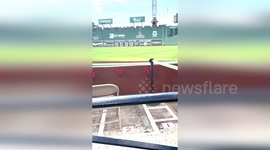 PETA Protester Interrupts Red Sox Game Over University's Marmoset Experiments