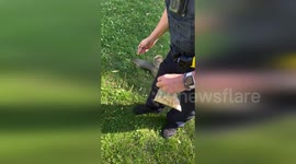 USA: Officer Kelly Gabriel Feeds Squirrel in Cleveland