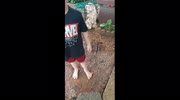 temp