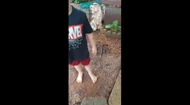 Twin brothers battle to fill their jar with worms the fastest