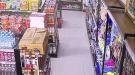 Pet cat hops on its hind legs while chasing friend