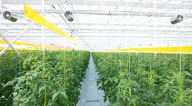 China: Waste-free City in China's Shandong Province