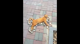 A sleeping orange cat on college campus surrounded by college students, they put rocks around the cat so that people can see him and not step on him since he is sleeping in the middle of the walkway.