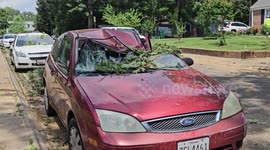 Gaithersburg Tornado Damage