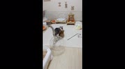 temp