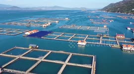 China accelerating development of deep-sea and far-sea mariculture